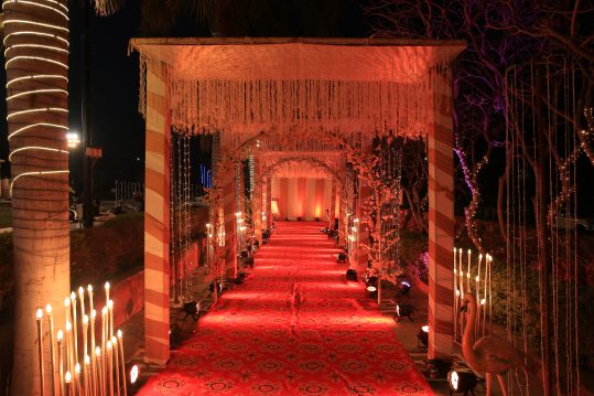 Professional wedding planner in udaipur